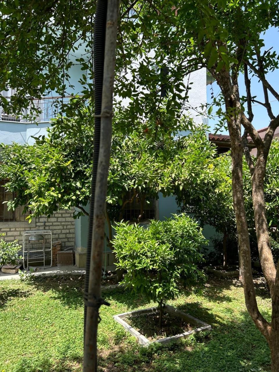 Guesthouse Katerina Berati Exterior foto