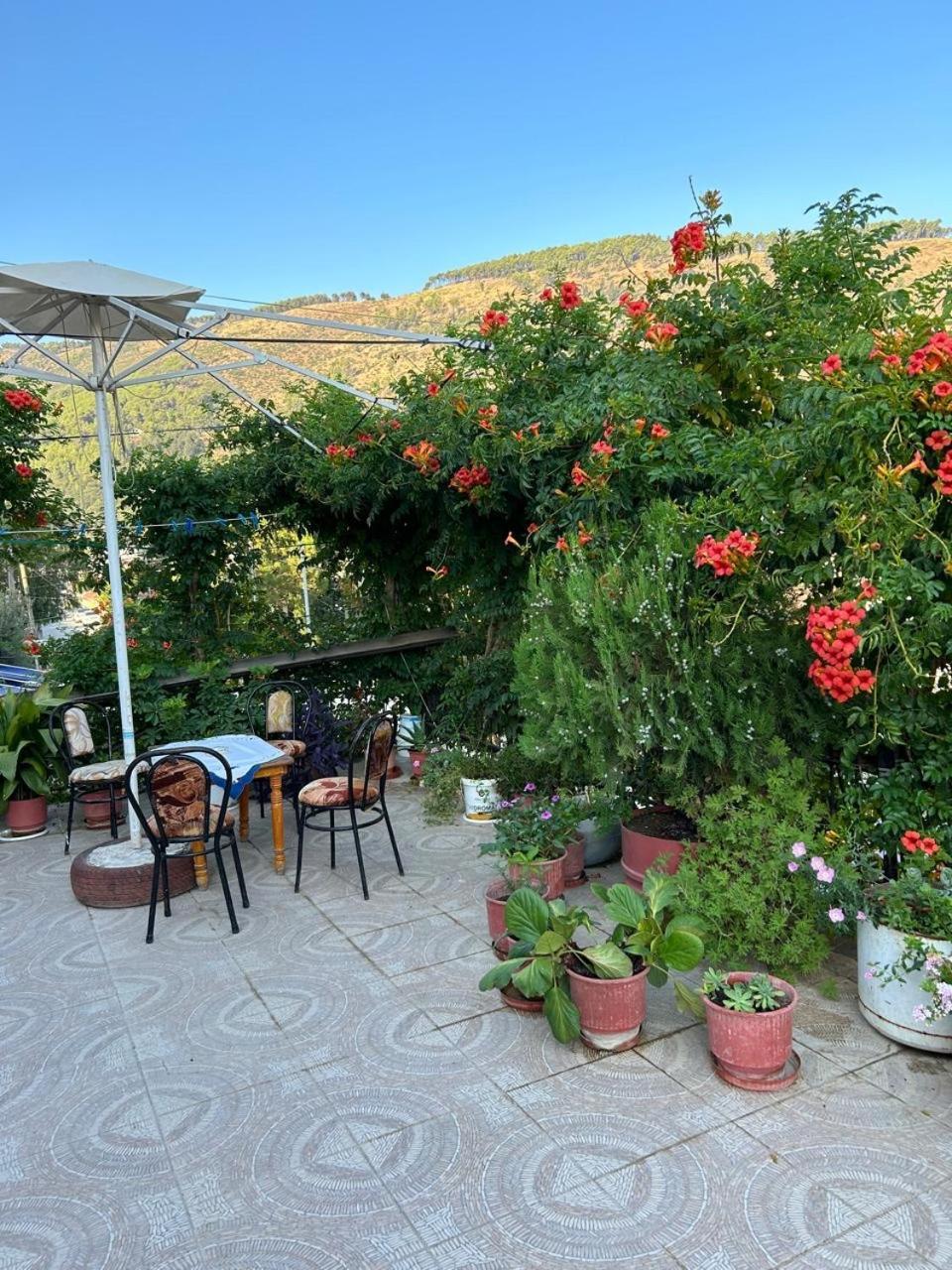 Guesthouse Katerina Berati Exterior foto