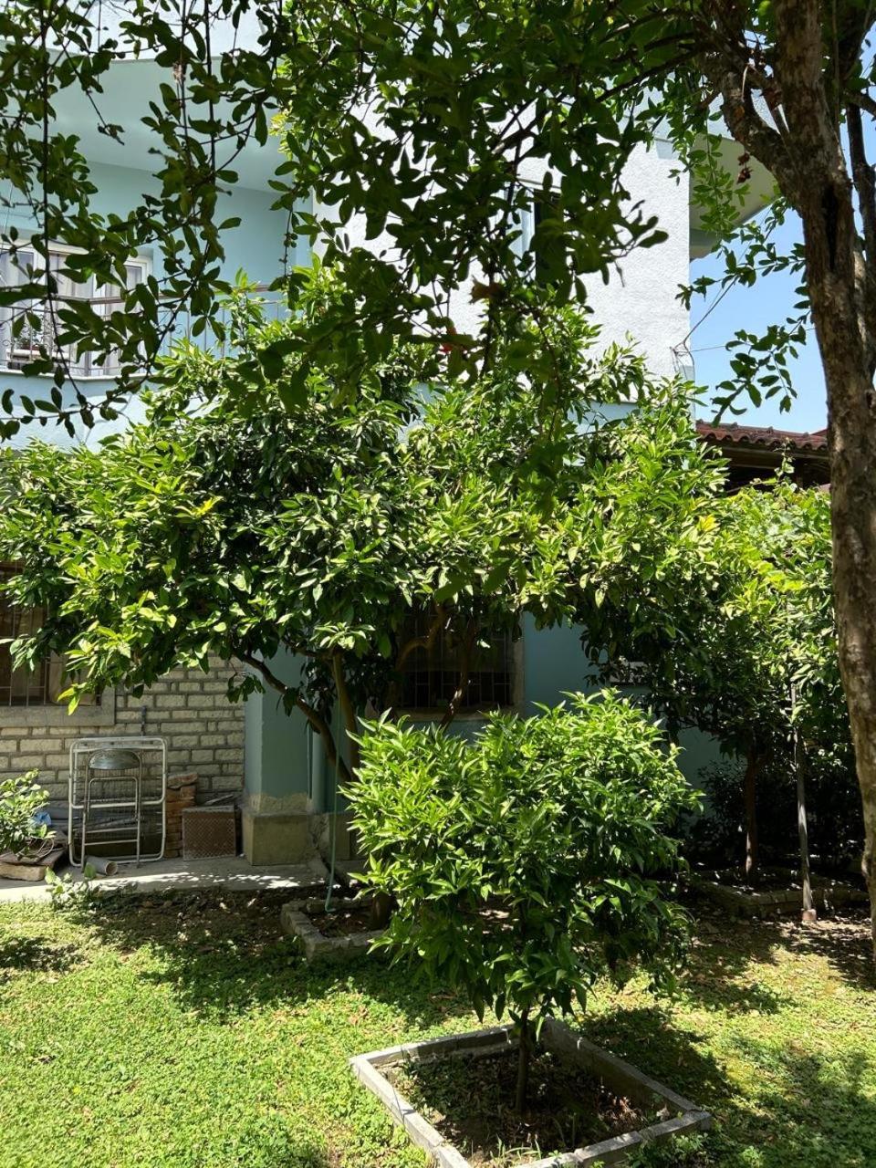 Guesthouse Katerina Berati Exterior foto